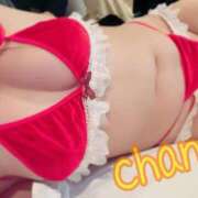 ヒメ日記 2024/12/24 14:22 投稿 ちゃん 蒼いうさぎ