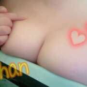 ヒメ日記 2025/01/22 12:01 投稿 ちゃん 蒼いうさぎ