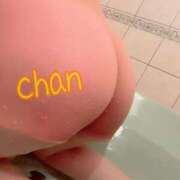 ヒメ日記 2025/02/01 12:13 投稿 ちゃん 蒼いうさぎ