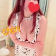 ヒメ日記 2025/04/04 22:19 投稿 ちゃん 蒼いうさぎ