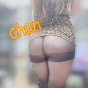 ヒメ日記 2025/04/19 14:53 投稿 ちゃん 蒼いうさぎ