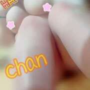 ヒメ日記 2025/05/17 16:06 投稿 ちゃん 蒼いうさぎ