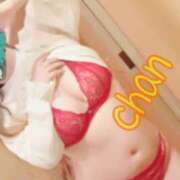 ヒメ日記 2025/05/27 13:03 投稿 ちゃん 蒼いうさぎ