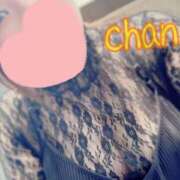 ヒメ日記 2025/06/20 12:03 投稿 ちゃん 蒼いうさぎ