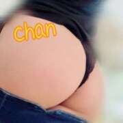 ヒメ日記 2025/07/08 15:58 投稿 ちゃん 蒼いうさぎ