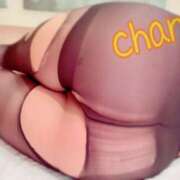 ヒメ日記 2025/07/15 15:43 投稿 ちゃん 蒼いうさぎ