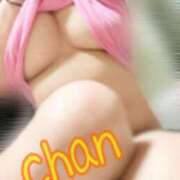 ヒメ日記 2025/08/01 13:33 投稿 ちゃん 蒼いうさぎ