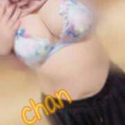 ヒメ日記 2025/08/09 13:31 投稿 ちゃん 蒼いうさぎ