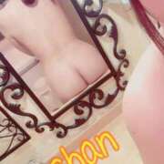 ヒメ日記 2025/08/11 15:09 投稿 ちゃん 蒼いうさぎ