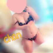 ヒメ日記 2025/08/19 12:35 投稿 ちゃん 蒼いうさぎ