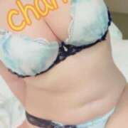 ヒメ日記 2025/09/01 12:31 投稿 ちゃん 蒼いうさぎ