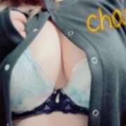 ヒメ日記 2026/01/09 16:43 投稿 ちゃん 蒼いうさぎ