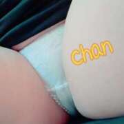 ヒメ日記 2026/01/17 16:31 投稿 ちゃん 蒼いうさぎ