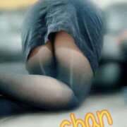 ヒメ日記 2026/01/24 12:57 投稿 ちゃん 蒼いうさぎ