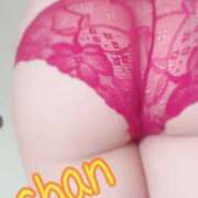 ヒメ日記 2026/01/31 12:14 投稿 ちゃん 蒼いうさぎ