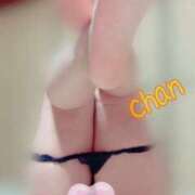 ヒメ日記 2026/02/26 20:55 投稿 ちゃん 蒼いうさぎ