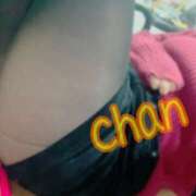 ヒメ日記 2026/03/02 13:12 投稿 ちゃん 蒼いうさぎ