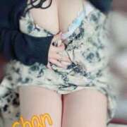 ヒメ日記 2026/03/30 15:30 投稿 ちゃん 蒼いうさぎ