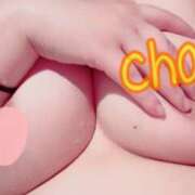 ヒメ日記 2026/04/17 22:11 投稿 ちゃん 蒼いうさぎ