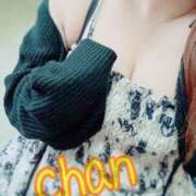 ヒメ日記 2026/04/21 11:51 投稿 ちゃん 蒼いうさぎ