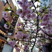 ヒメ日記 2025/02/24 16:32 投稿 かなえ 新橋夜這右衛門娼店～夜這・即尺・痴漢・人妻～