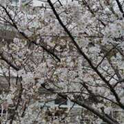 ヒメ日記 2025/03/28 13:08 投稿 かなえ 新橋夜這右衛門娼店～夜這・即尺・痴漢・人妻～