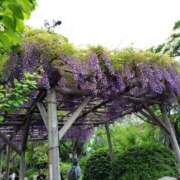 ヒメ日記 2025/04/30 10:55 投稿 かなえ 新橋夜這右衛門娼店～夜這・即尺・痴漢・人妻～