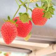 ヒメ日記 2025/07/26 10:29 投稿 かなえ 新橋夜這右衛門娼店～夜這・即尺・痴漢・人妻～