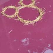 ヒメ日記 2025/11/18 13:36 投稿 かなえ 新橋夜這右衛門娼店～夜這・即尺・痴漢・人妻～