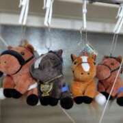 ヒメ日記 2026/01/03 08:04 投稿 かなえ 新橋夜這右衛門娼店～夜這・即尺・痴漢・人妻～