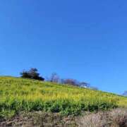 ヒメ日記 2026/01/26 18:21 投稿 かなえ 新橋夜這右衛門娼店～夜這・即尺・痴漢・人妻～