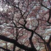 ヒメ日記 2026/03/06 23:04 投稿 かなえ 新橋夜這右衛門娼店～夜這・即尺・痴漢・人妻～