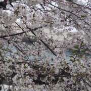 ヒメ日記 2026/03/28 15:33 投稿 かなえ 新橋夜這右衛門娼店～夜這・即尺・痴漢・人妻～