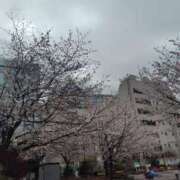 ヒメ日記 2026/04/01 13:21 投稿 かなえ 新橋夜這右衛門娼店～夜這・即尺・痴漢・人妻～