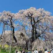 ヒメ日記 2026/04/20 16:51 投稿 かなえ 新橋夜這右衛門娼店～夜這・即尺・痴漢・人妻～