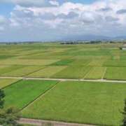 ヒメ日記 2026/08/15 08:40 投稿 かなえ 新橋夜這右衛門娼店～夜這・即尺・痴漢・人妻～