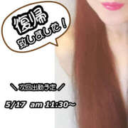 ヒメ日記 2025/05/15 09:30 投稿 遠山　いずみ 昼下がりの情事