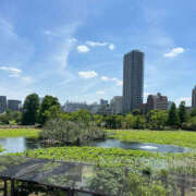 ヒメ日記 2025/05/29 09:30 投稿 遠山　いずみ 昼下がりの情事