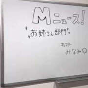ヒメ日記 2026/10/20 03:45 投稿 みなみ 性の極み 技の伝道師 ver. 匠