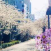 ヒメ日記 2025/04/05 16:15 投稿 まい 新橋夜這右衛門娼店～夜這・即尺・痴漢・人妻～