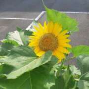 ヒメ日記 2025/07/12 22:42 投稿 由紀恵 モアグループ所沢人妻城