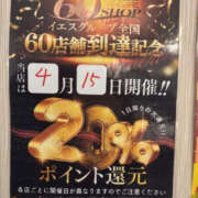 ヒメ日記 2026/04/13 08:25 投稿 れいな YESグループ TSUBAKI FIRST