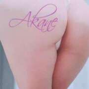 ヒメ日記 2024/12/28 11:42 投稿 藤澤あかね キュア＆マジック