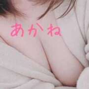 ヒメ日記 2025/01/30 22:15 投稿 藤澤あかね キュア＆マジック