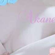 ヒメ日記 2025/02/01 10:45 投稿 藤澤あかね キュア＆マジック