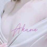 ヒメ日記 2025/02/14 23:00 投稿 藤澤あかね キュア＆マジック