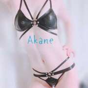 ヒメ日記 2025/02/17 17:15 投稿 藤澤あかね キュア＆マジック