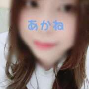 ヒメ日記 2025/02/20 12:02 投稿 藤澤あかね キュア＆マジック