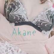 ヒメ日記 2025/02/22 11:30 投稿 藤澤あかね キュア＆マジック