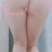 ヒメ日記 2025/03/22 16:30 投稿 藤澤あかね キュア＆マジック